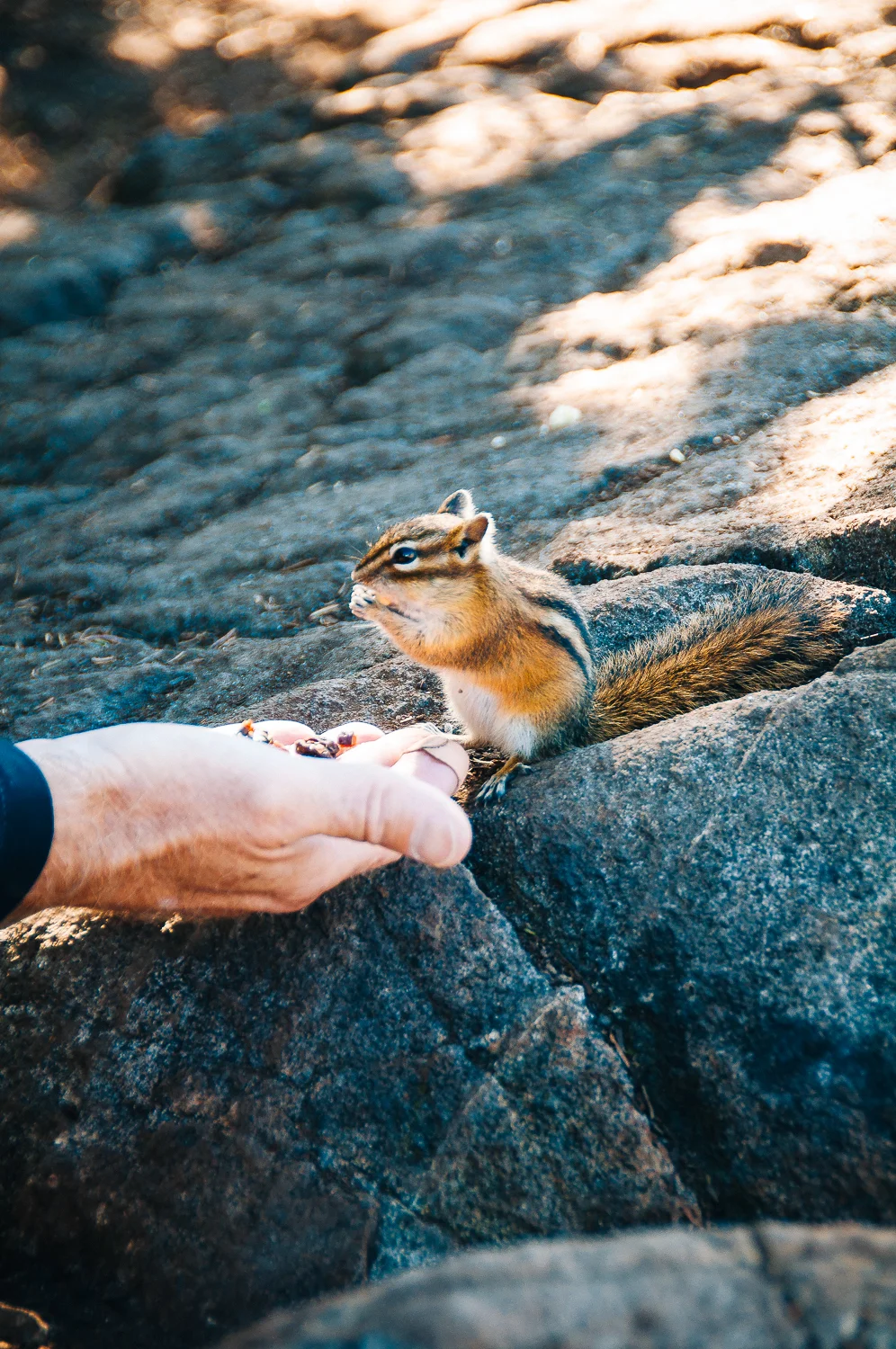 st marks hike 3.jpg