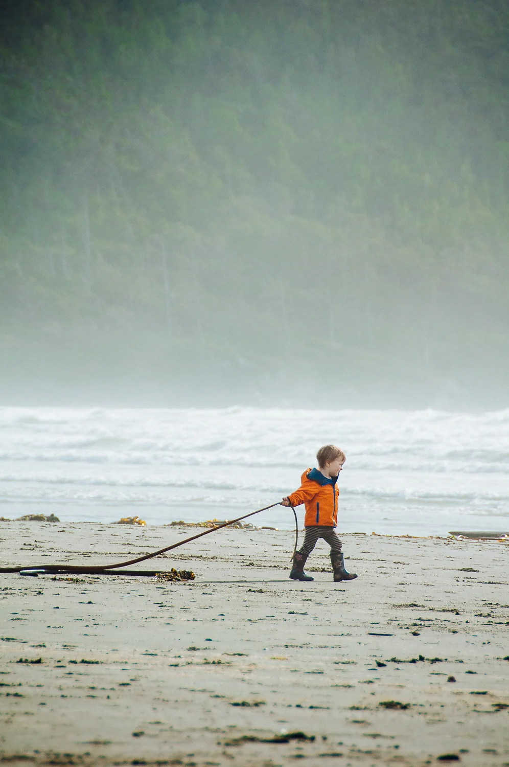 Tofino Oct 2016 6.jpg