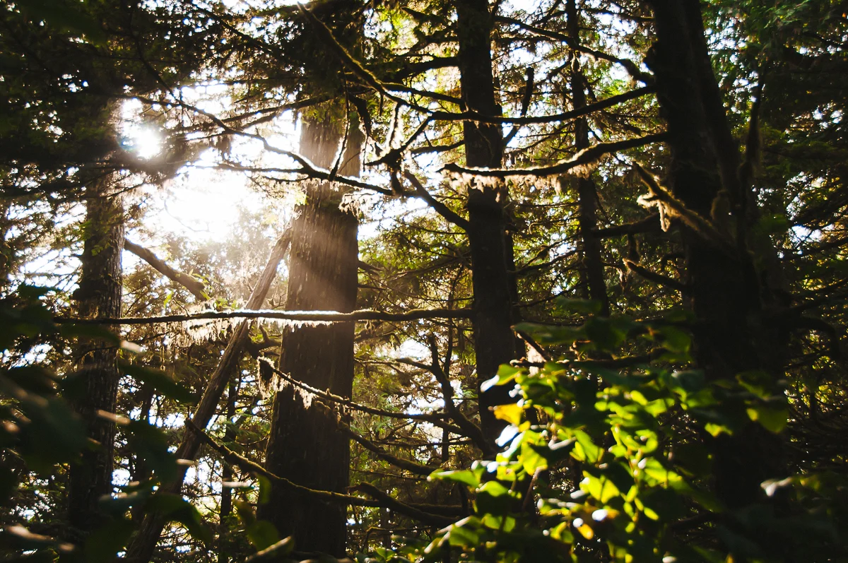 Tofino Oct 2016 5.jpg