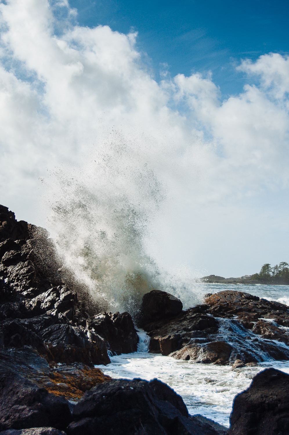 Tofino Oct 2016_-5.jpg