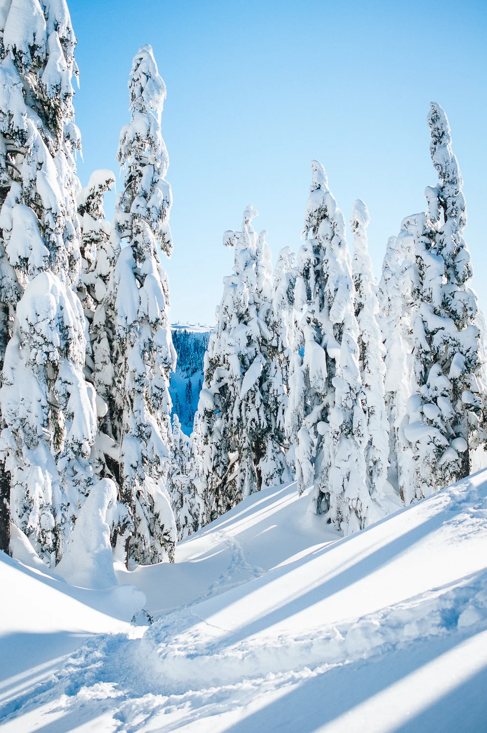 St Marks Winter 10.jpg