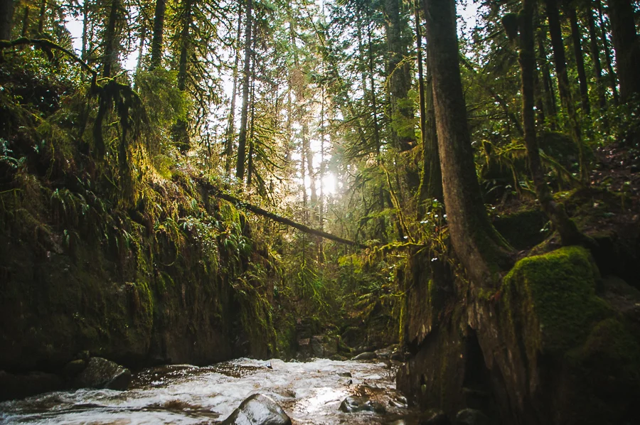 Cypress Falls 8.jpg