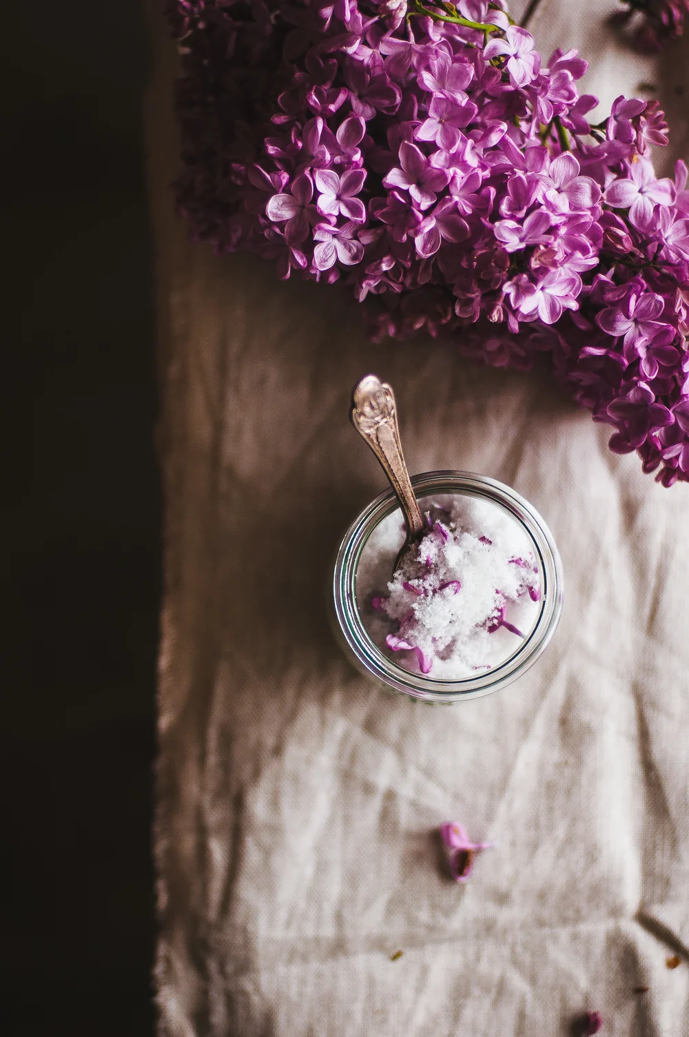 Lilac Sugar-Strawberry Lilac IC 5.jpg