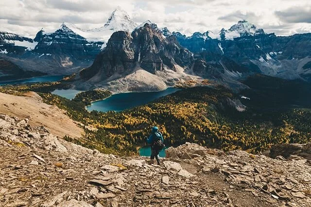 The snow in the mountains around Revy is juuuuust about melted and that means I can finally get my butt out there and go hiking! ⁣
⁣
⁣
⁣
⁣
⁣
⁣
⁣
#Wildernessnation #adventureculture #lifeofadventure #wildernessculture #explorebc #hellobc #hikebc #liveadventurously #ilovebc #unrulydreamers #optoutside #campeveryday #mountaingirls #natureaddict #destinationearth #ourlonelyplanet #travelstoke #takemebackpacking #playoutside #keepitwild #alpineclubofcanada #radgirlslife #therealstoke #seerevelstoke #kootrocks #revelstoke