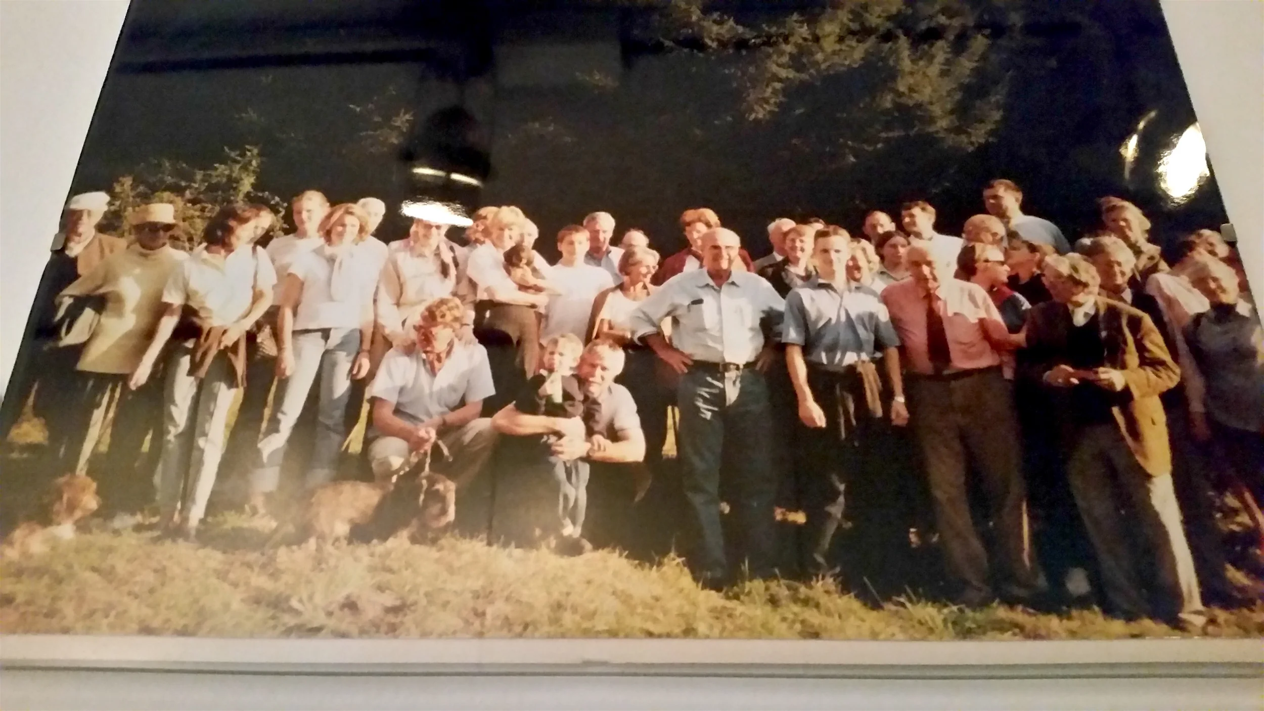 von Reitzensteins