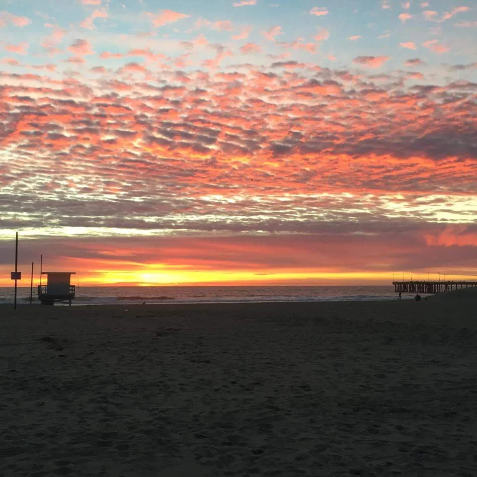 Danielle Sunset 1.jpeg