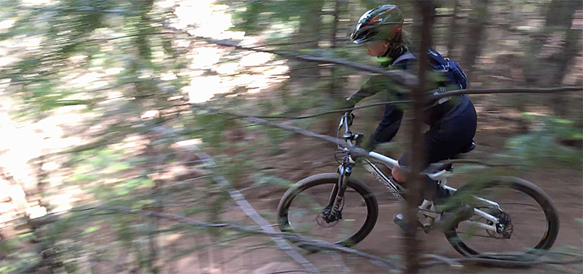 Boggs_Switchback2.jpg