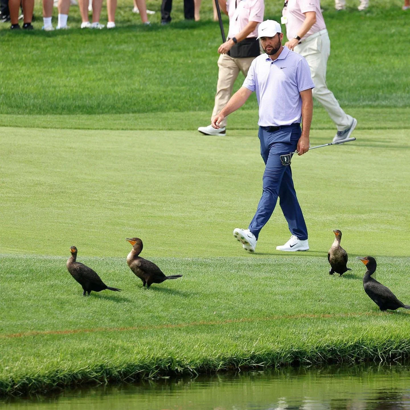 Another stroll in the park for Scottie 🏆 #birdietrain 

Photo credit:

Brian Spurlock
Keyur Khamar

#golf #golfing #golfer #golflife #pgatour #api #arnoldpalmer