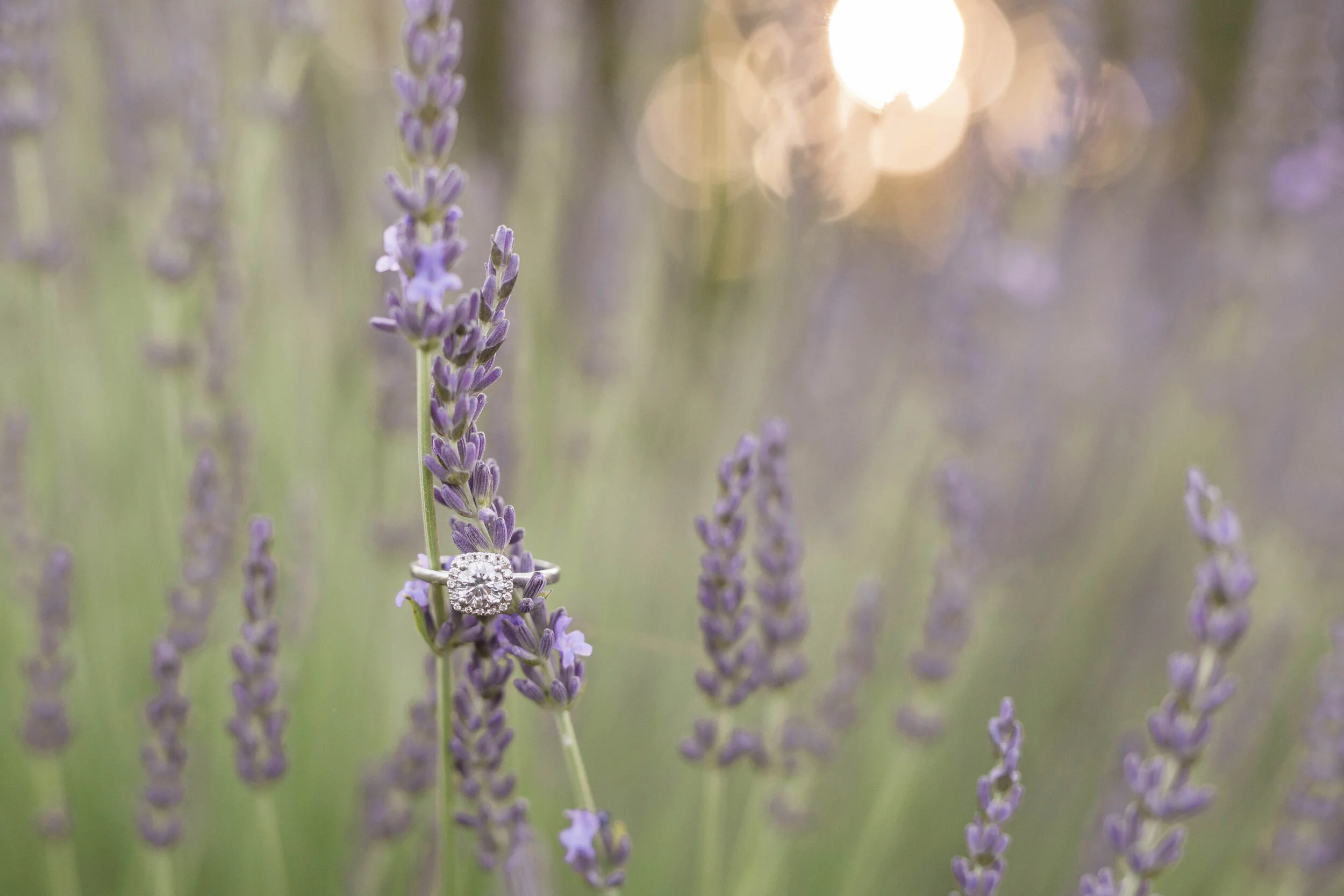 shotbychelsea_engagement_blog-12.jpg
