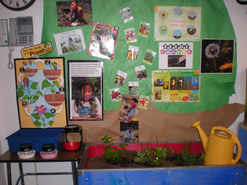 Includes instructions for creating a quality "Plant Themed Science Center."