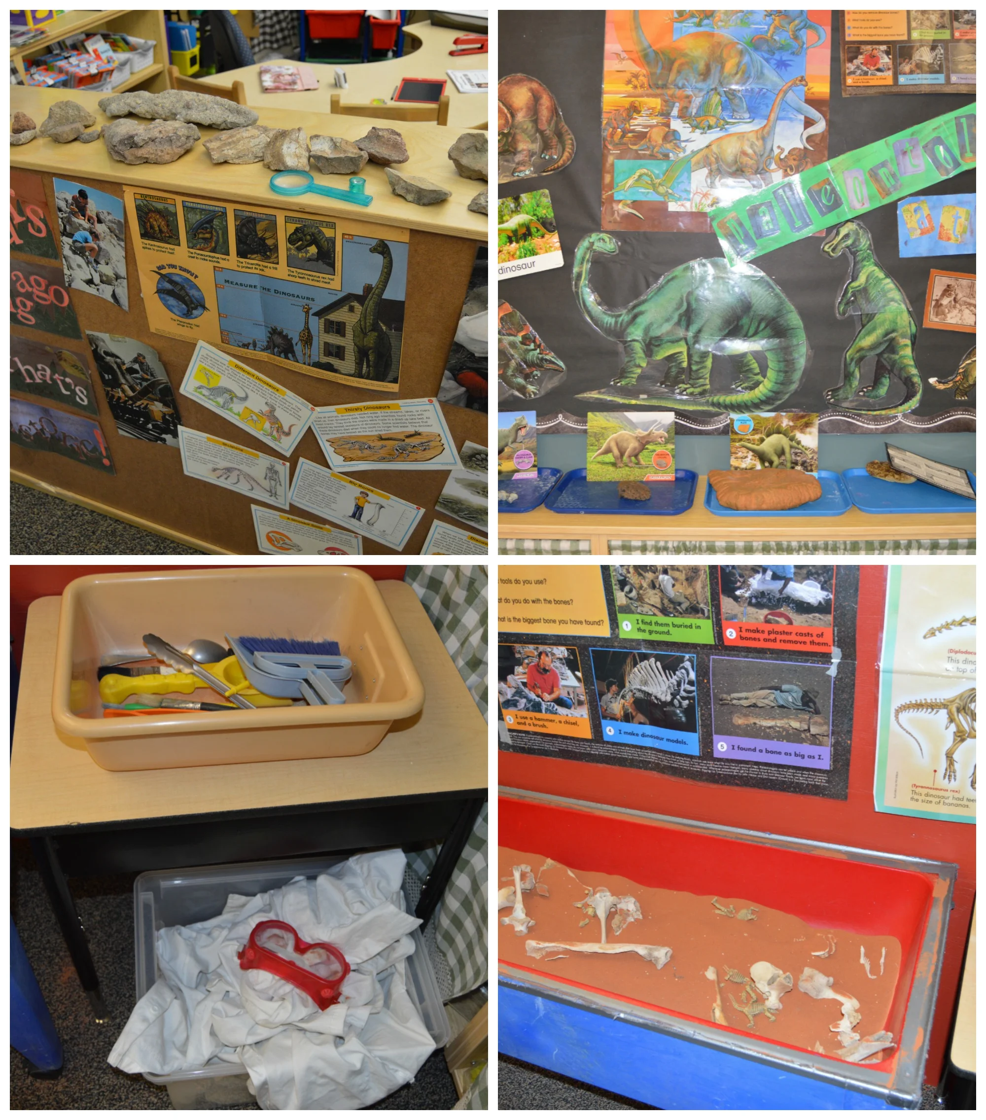 The Science Center is a great place for kids to learn about the science of paleontology through play-based discovery learning.