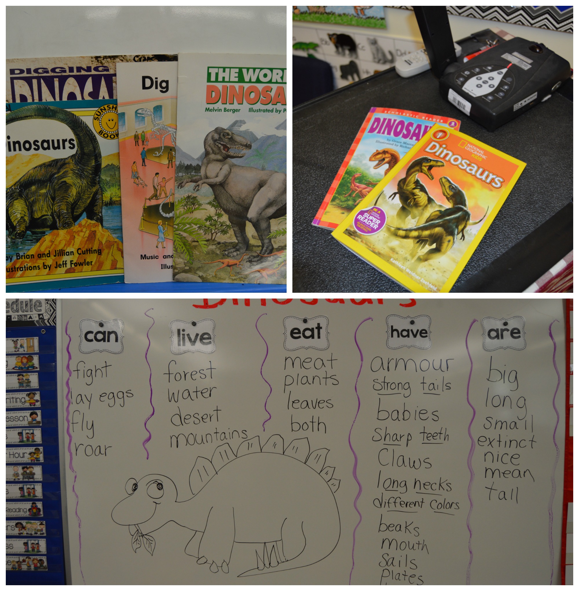 Close reading is a great activity that allows students to gather facts through text. Look at all of the things we learned from books.