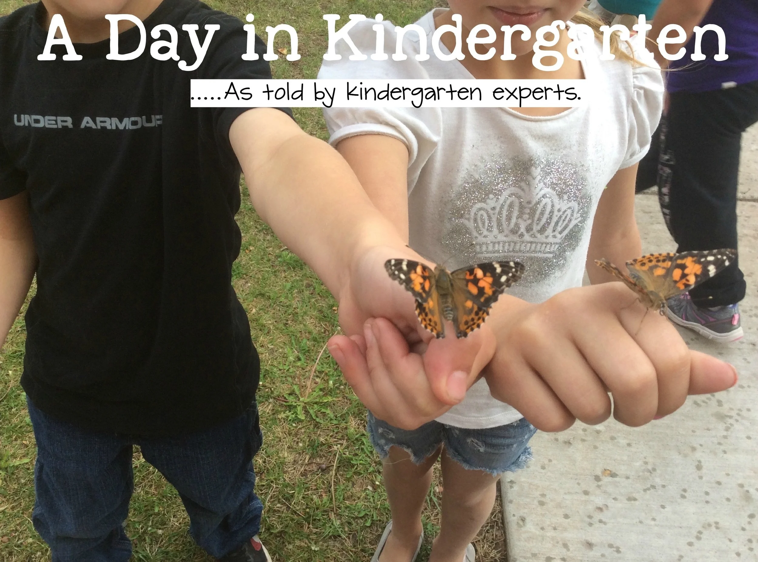 What Will You Do In Kindergarten?