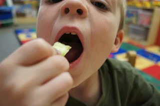 Teaching Thematically To Increase Academic Learning