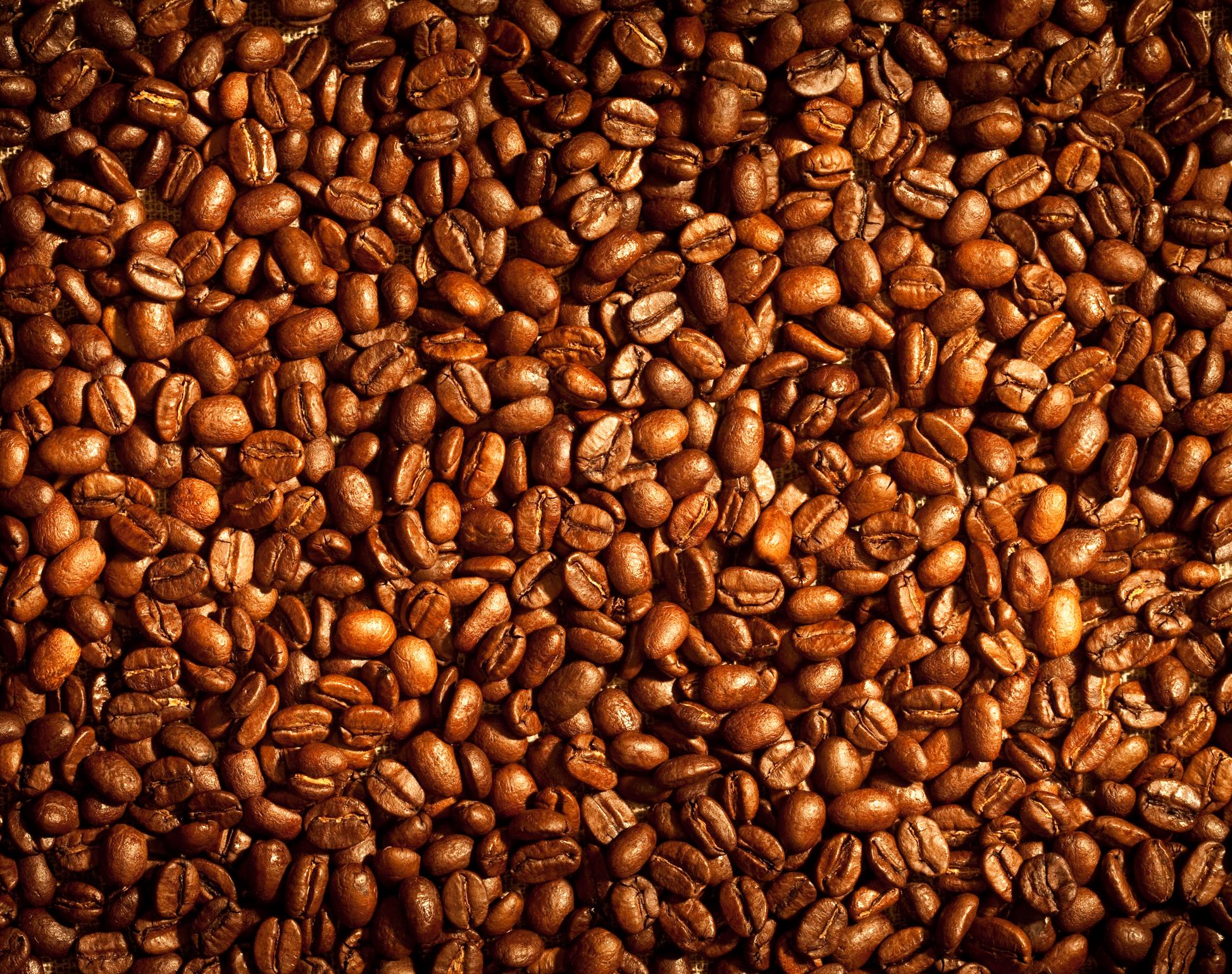 Beans