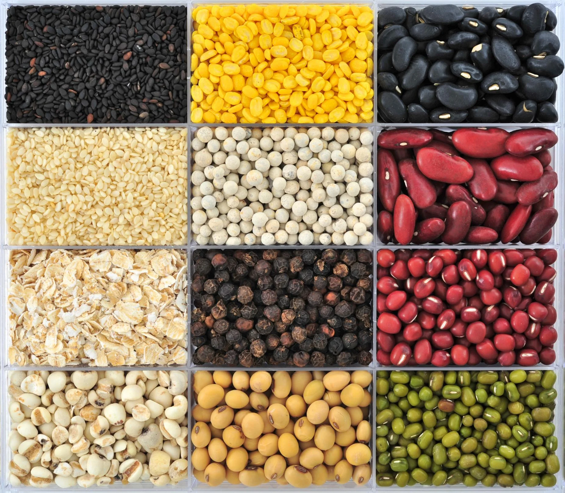 Seeds