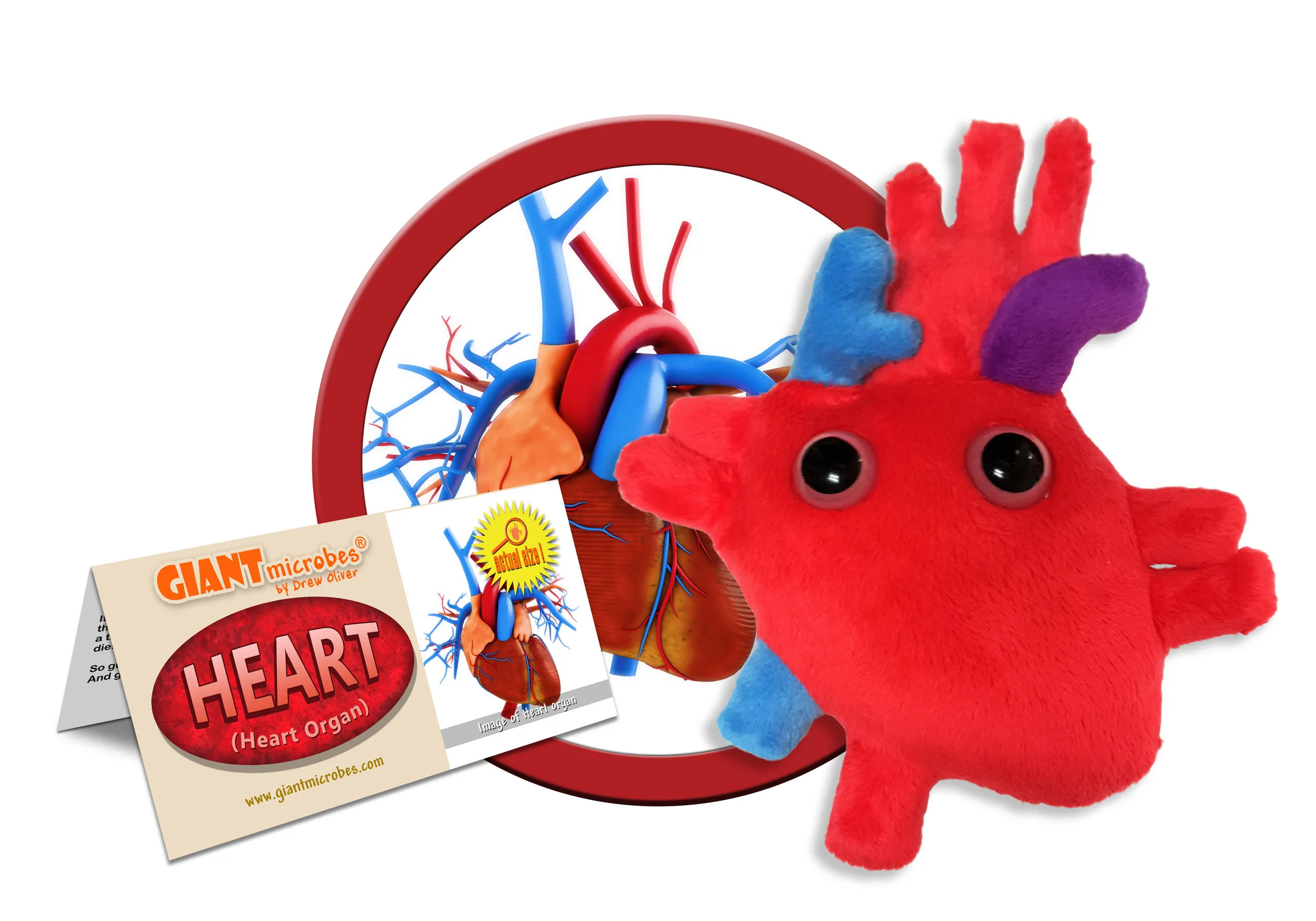 GMUS-PD-0360_Heart_Cluster.jpg