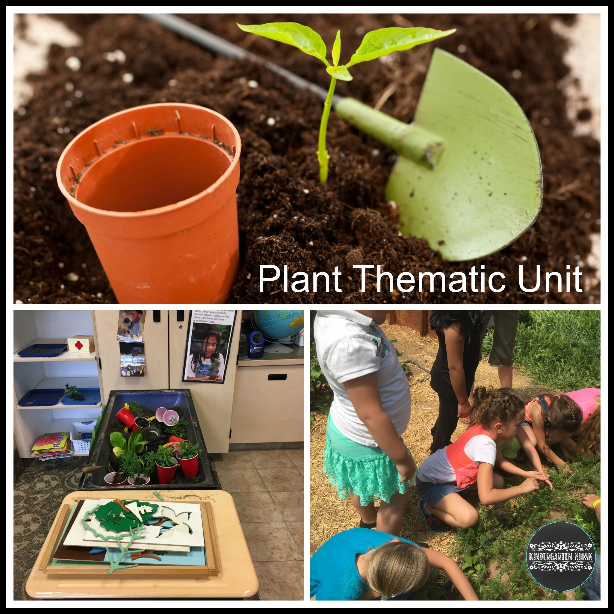 plant-thematic-unit.jpg