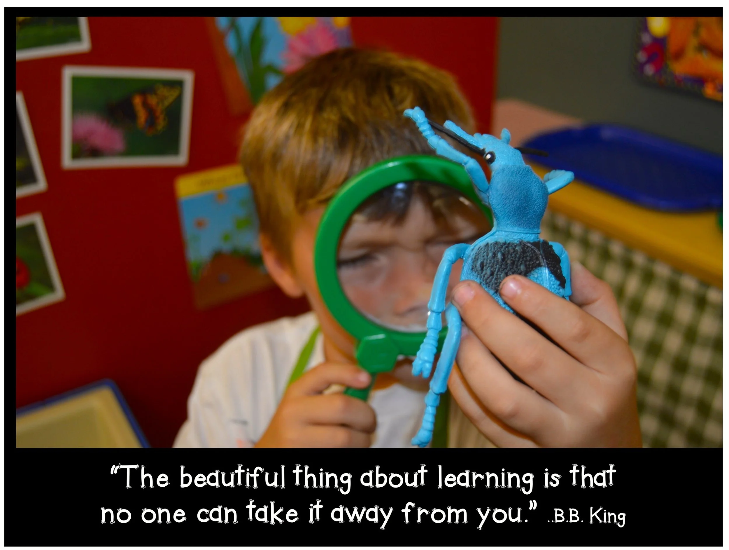 Celebrate The End of the School Year!