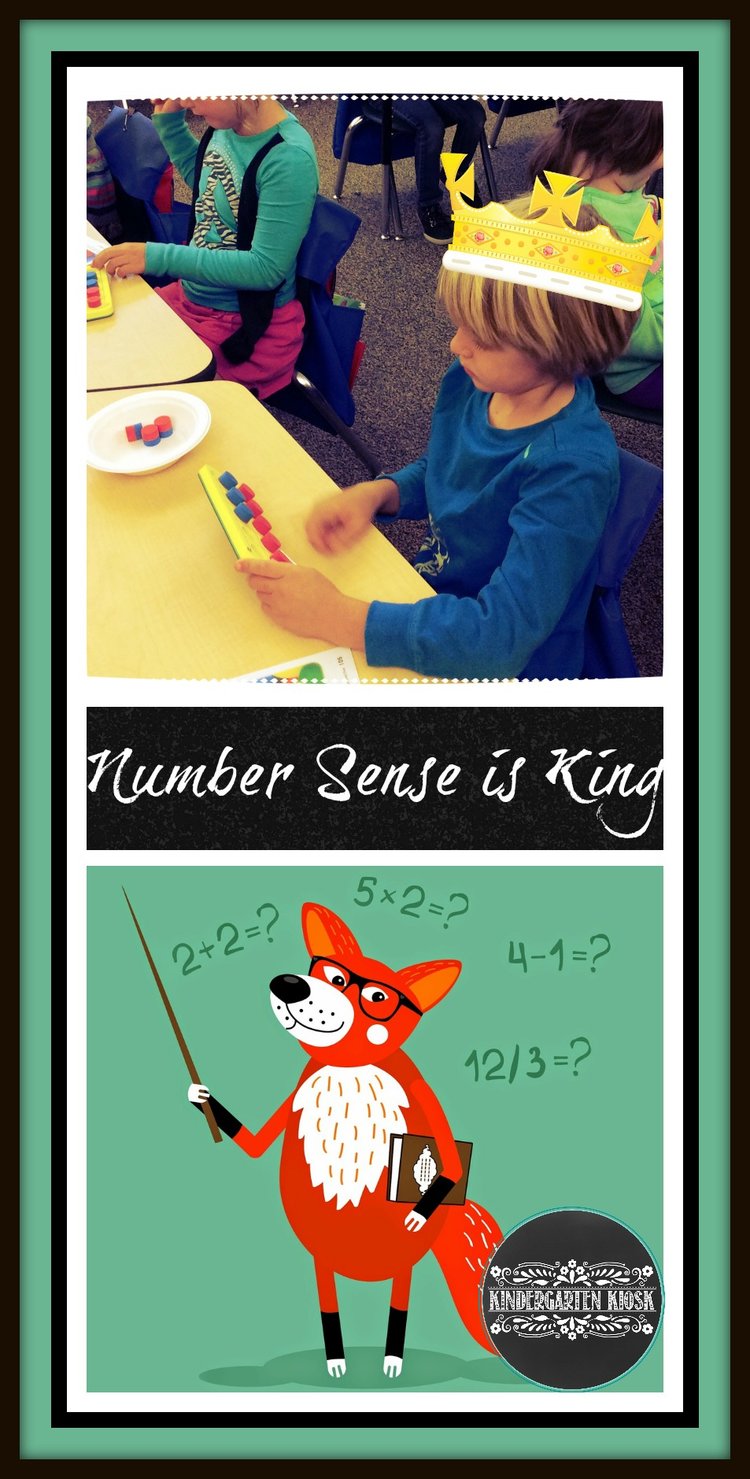 Number Sense & Rudimentary Math Skills