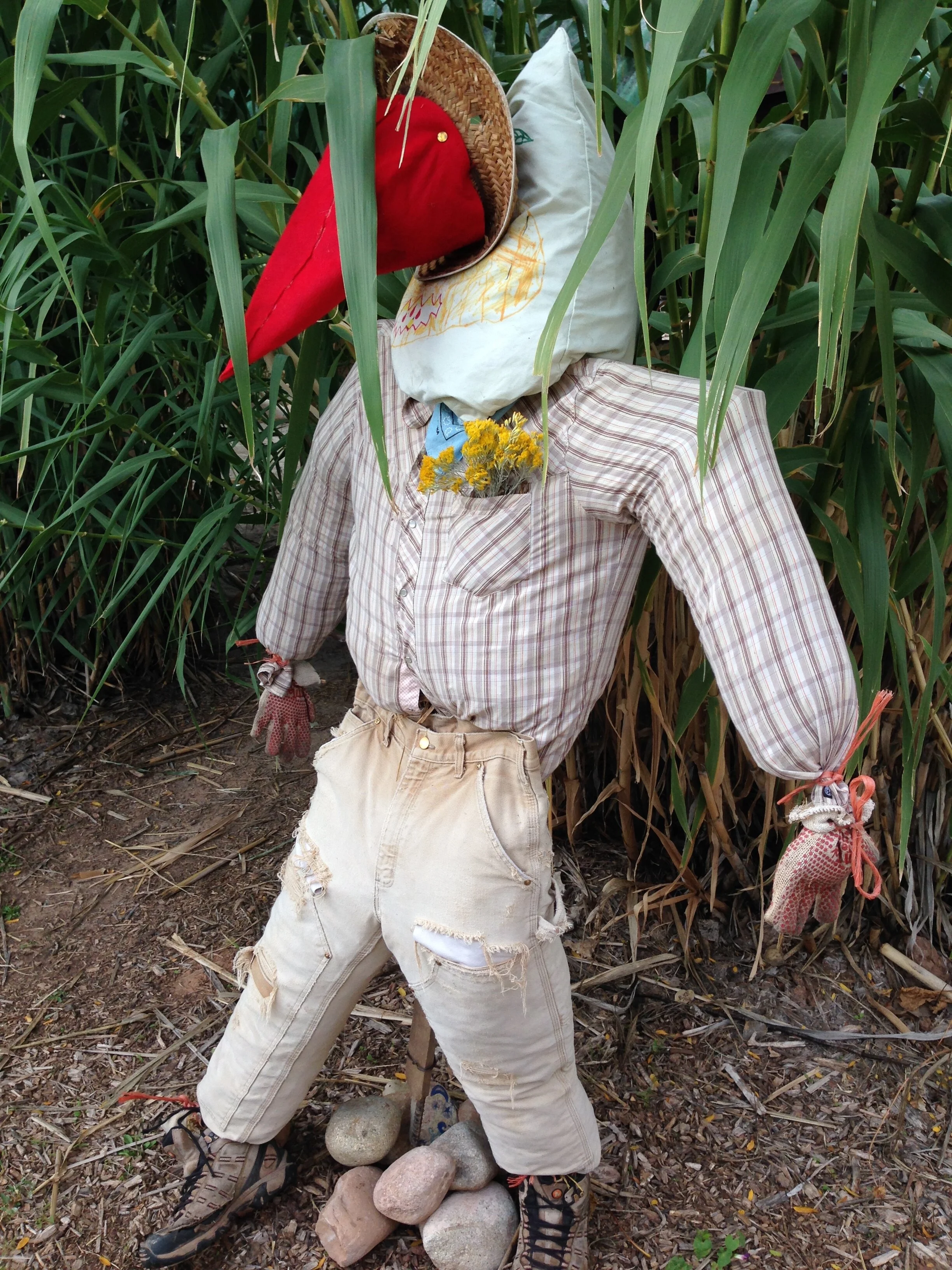scarecrow-kindergarten.jpg