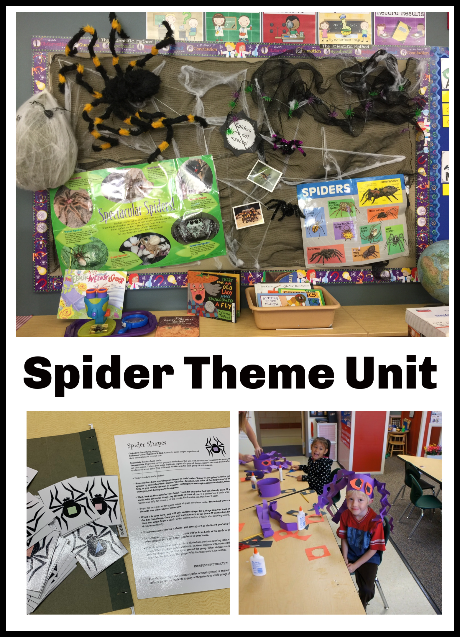 Spider Activities Literacy and STEAM