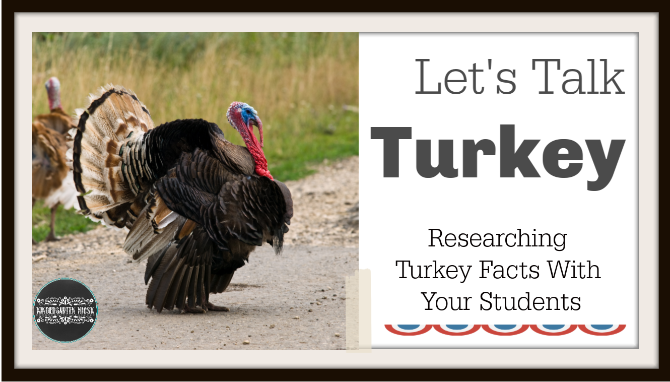 Kindergarten Turkey Talk Kindergarten Kiosk