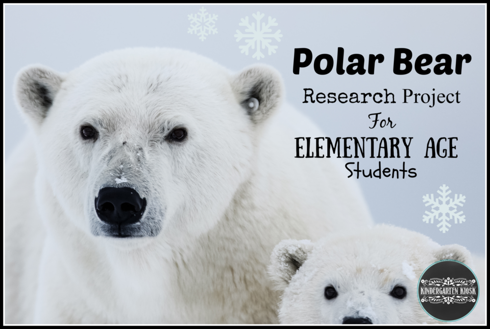 Polar+Bear+Research+Project.png
