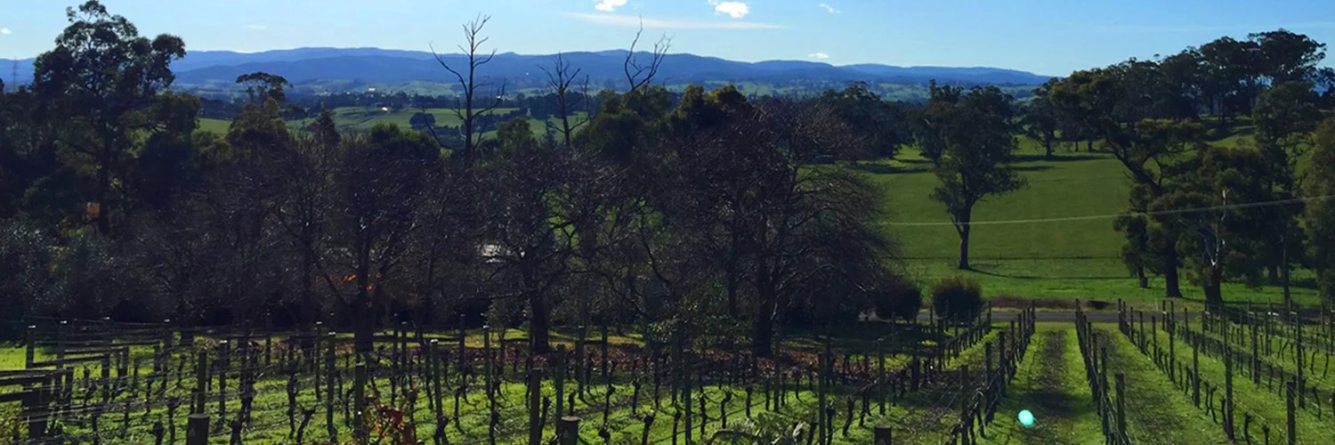 Brandy Creek Wines on Channel 9's "Postcards"