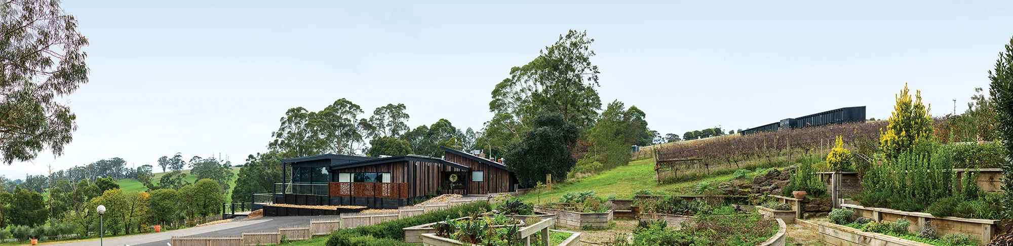 brandycreekPanorama1.jpg