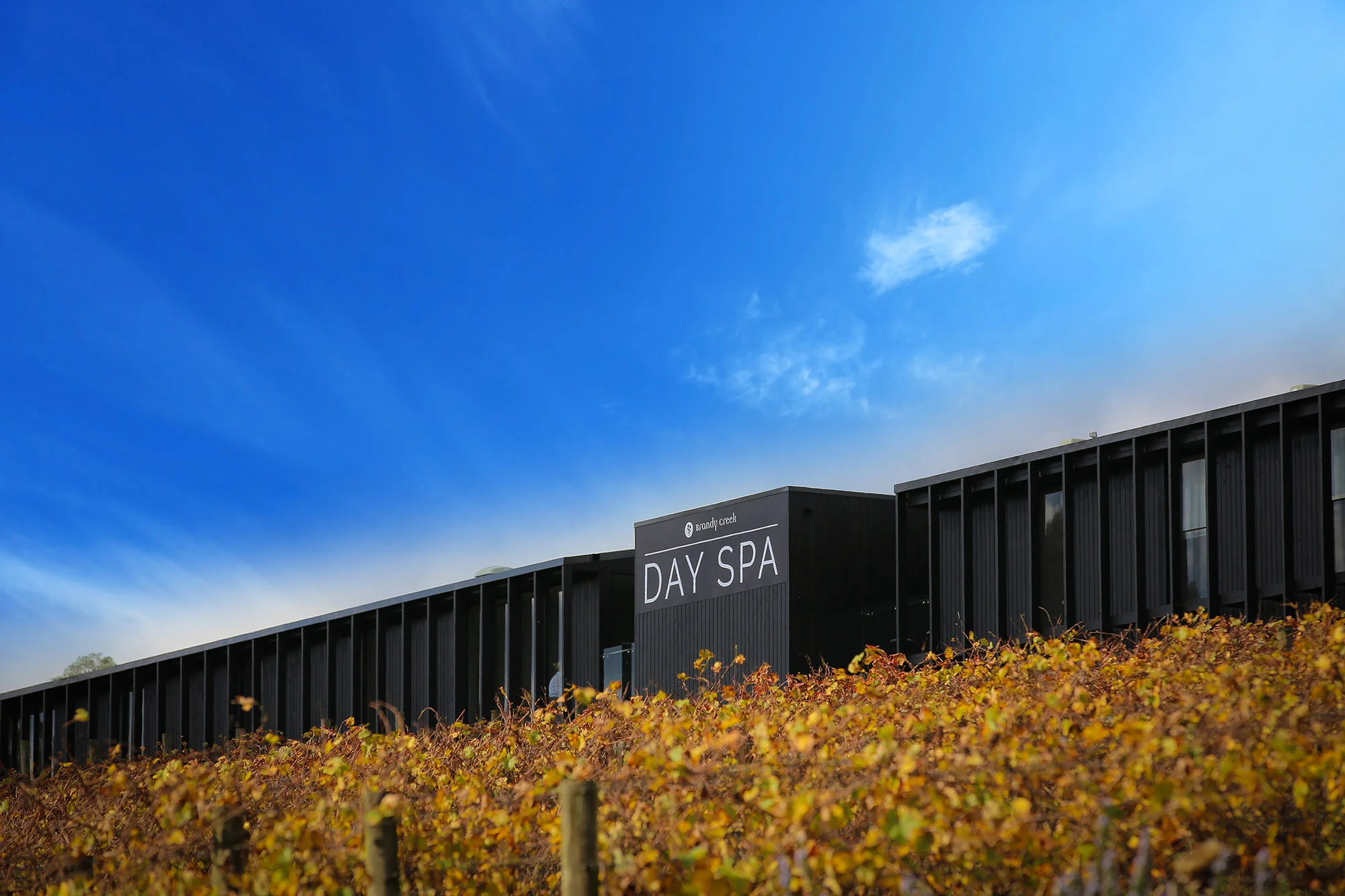 Day-Spa.jpg