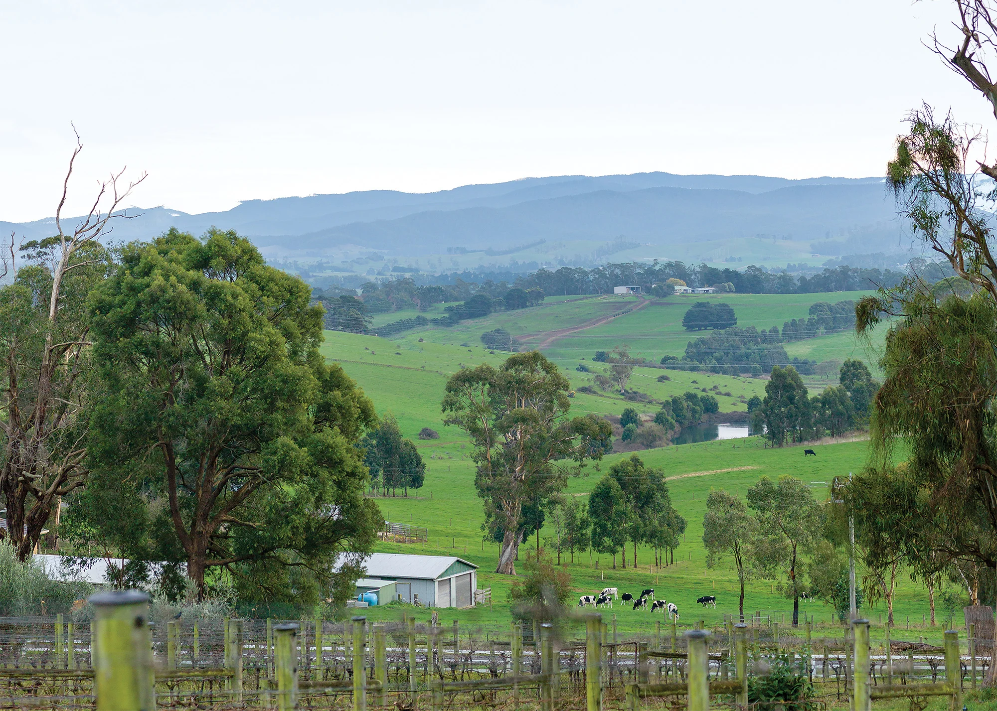 Local-Accommodation-View.jpg