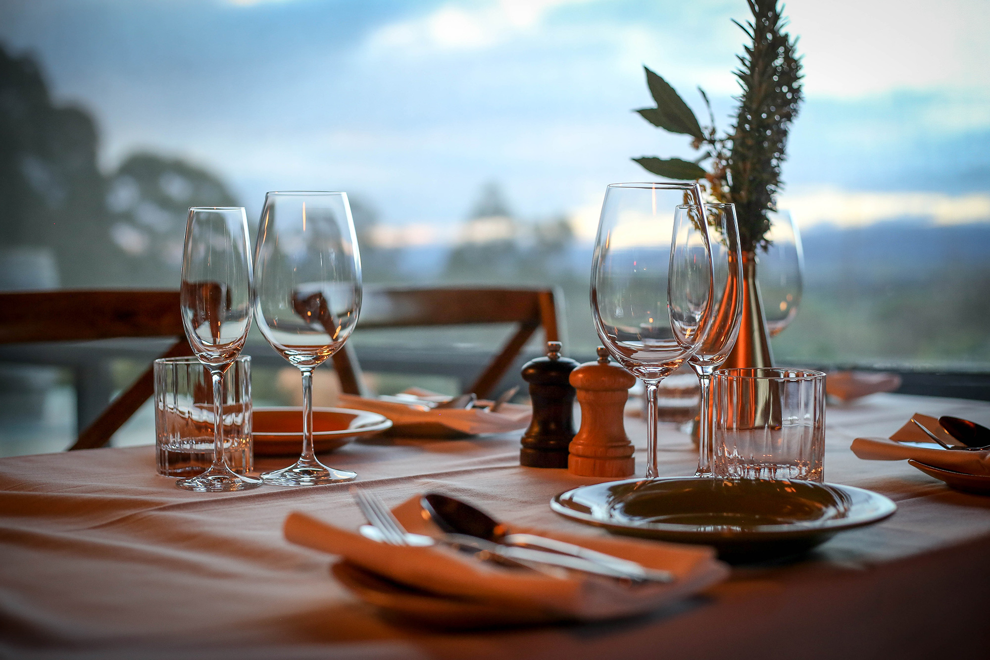 Di-Vine-Table2.jpg