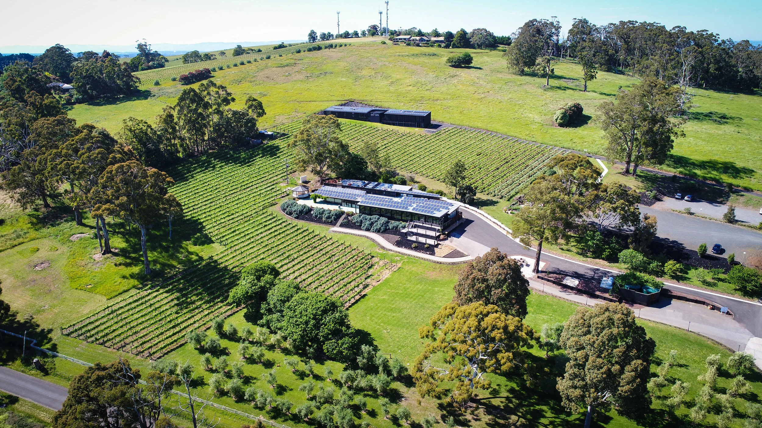 DJI_0006.jpg