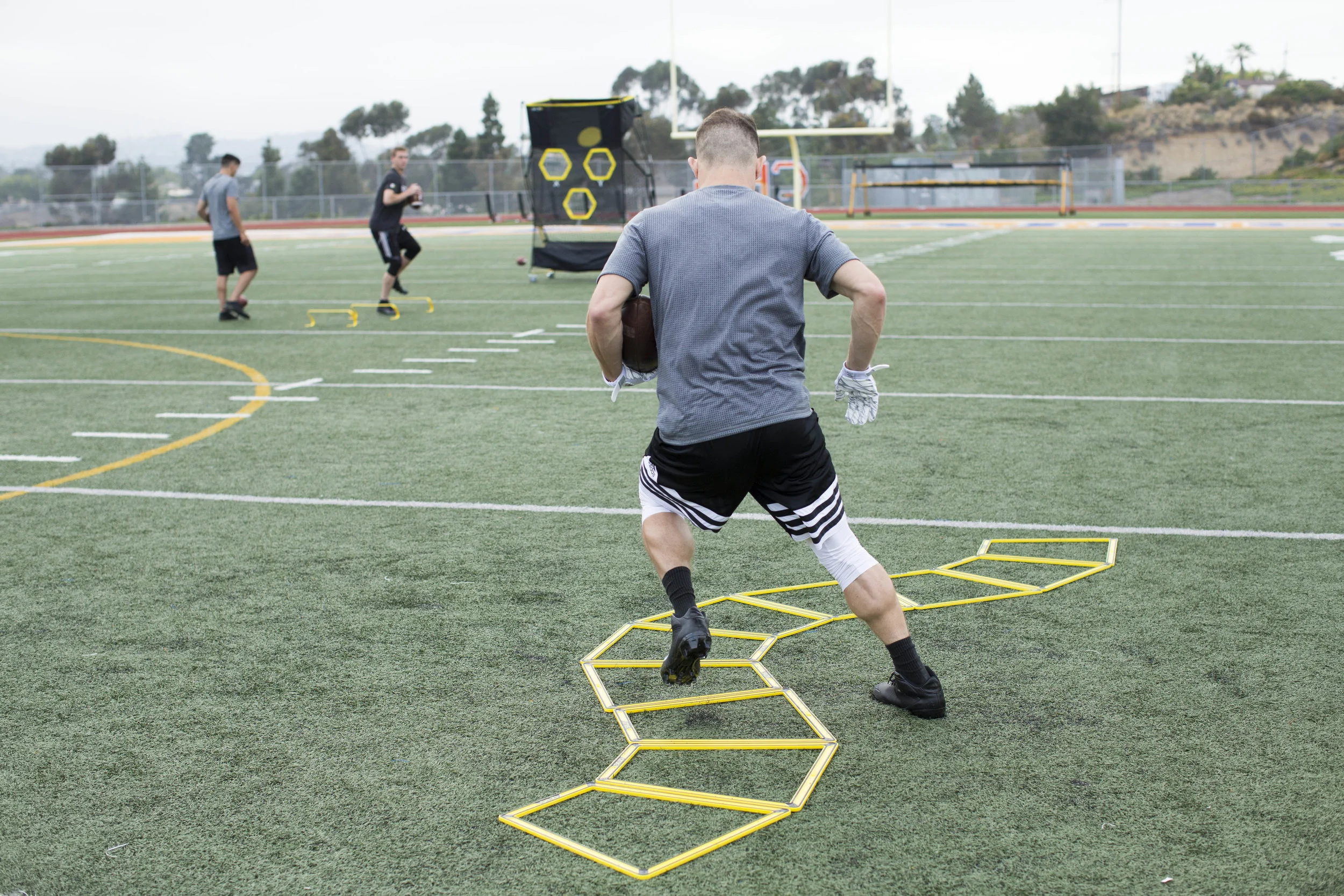 AgilityTrainerPro_ Action1.jpg