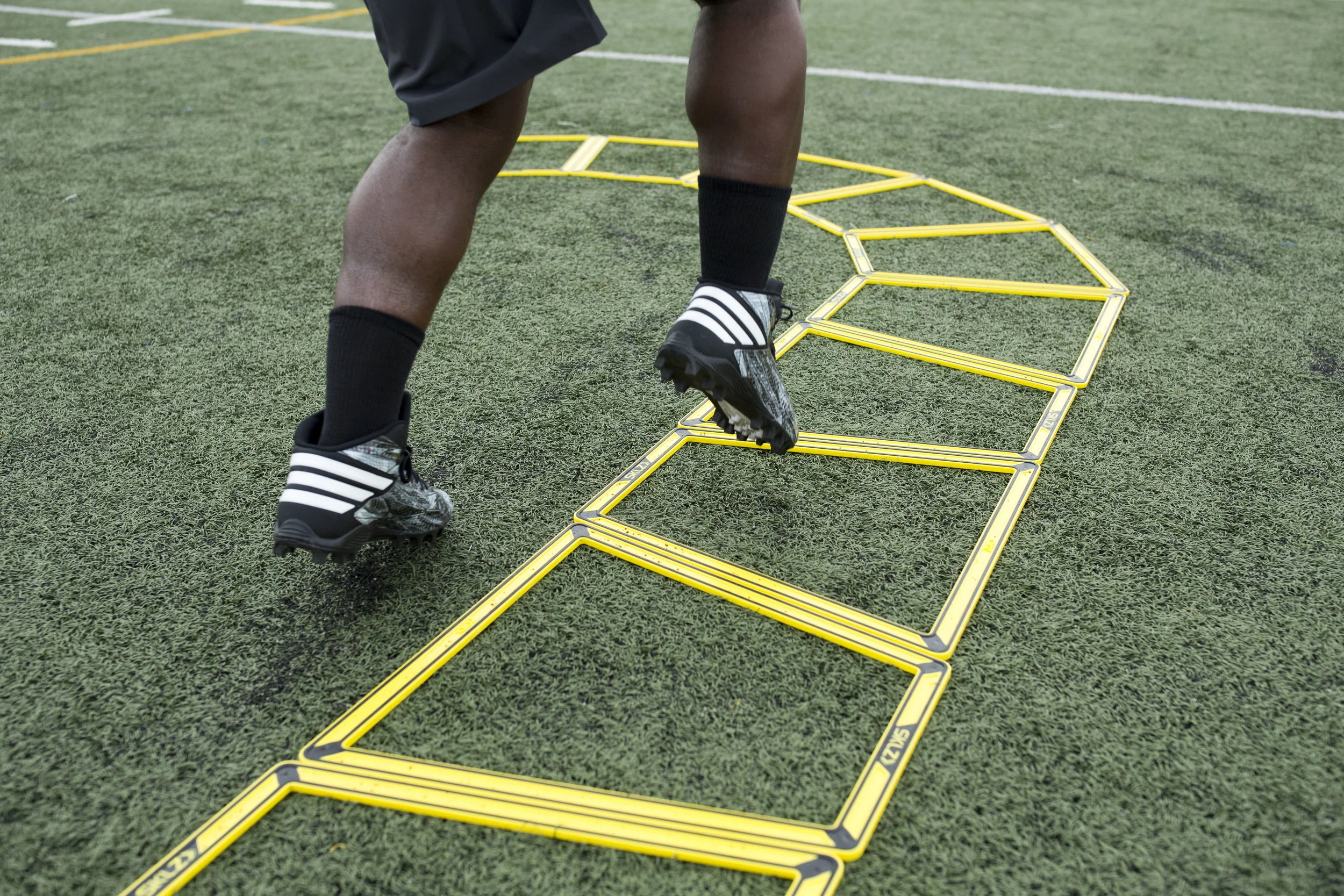 AgilityTrainerPro_ Action2.jpg