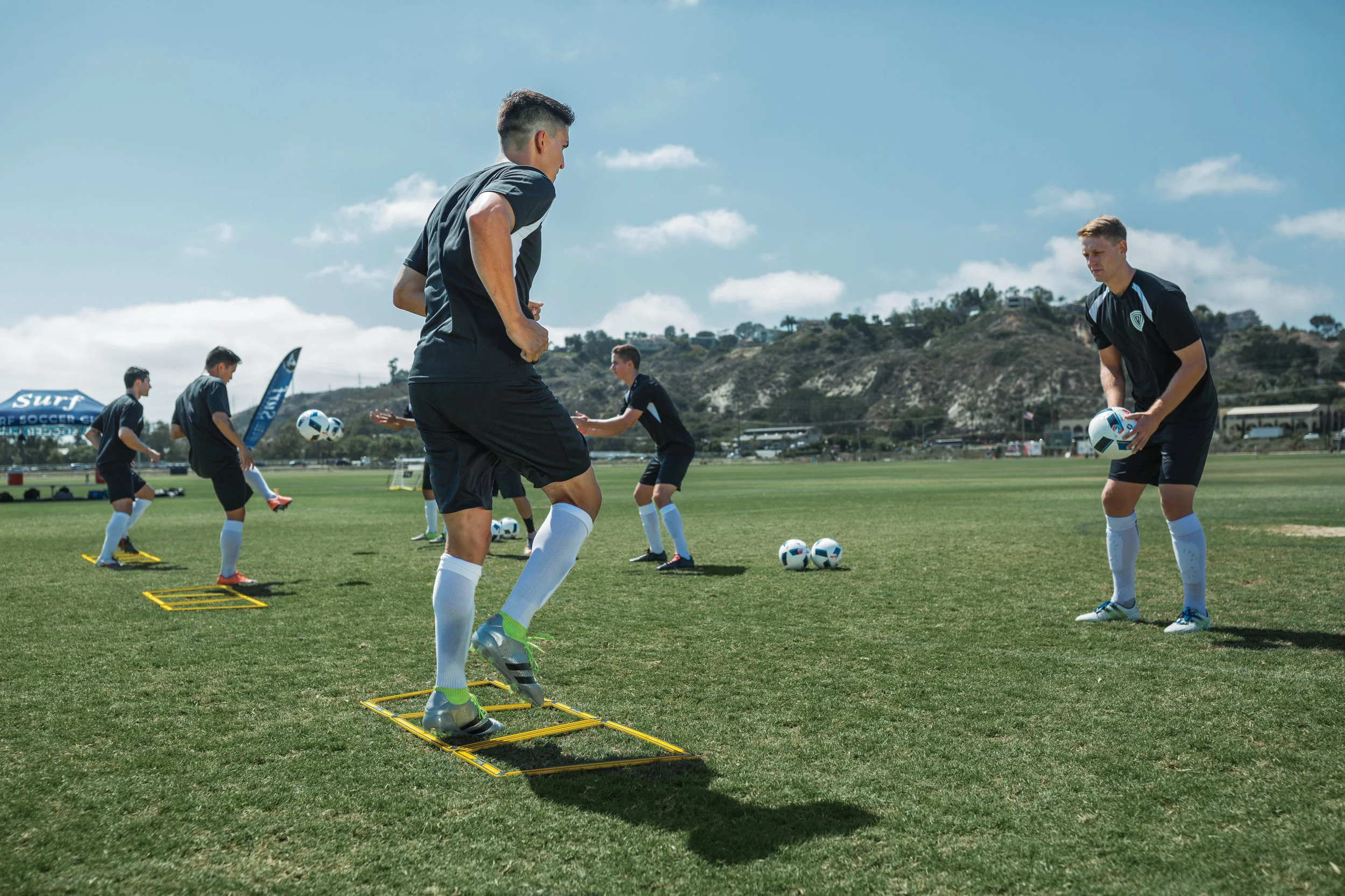 AgilityTrainerPro_ Action6.jpg