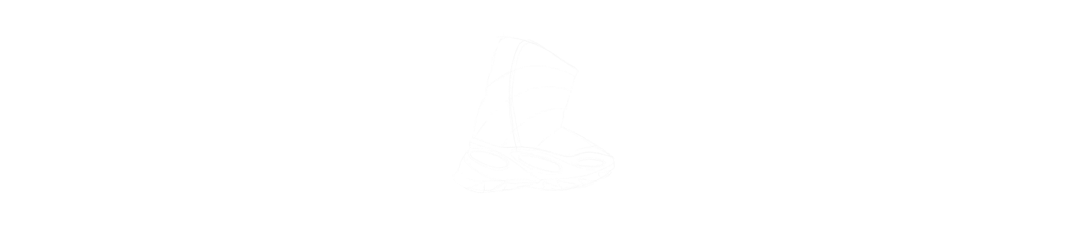 NSLTD_resize.gif