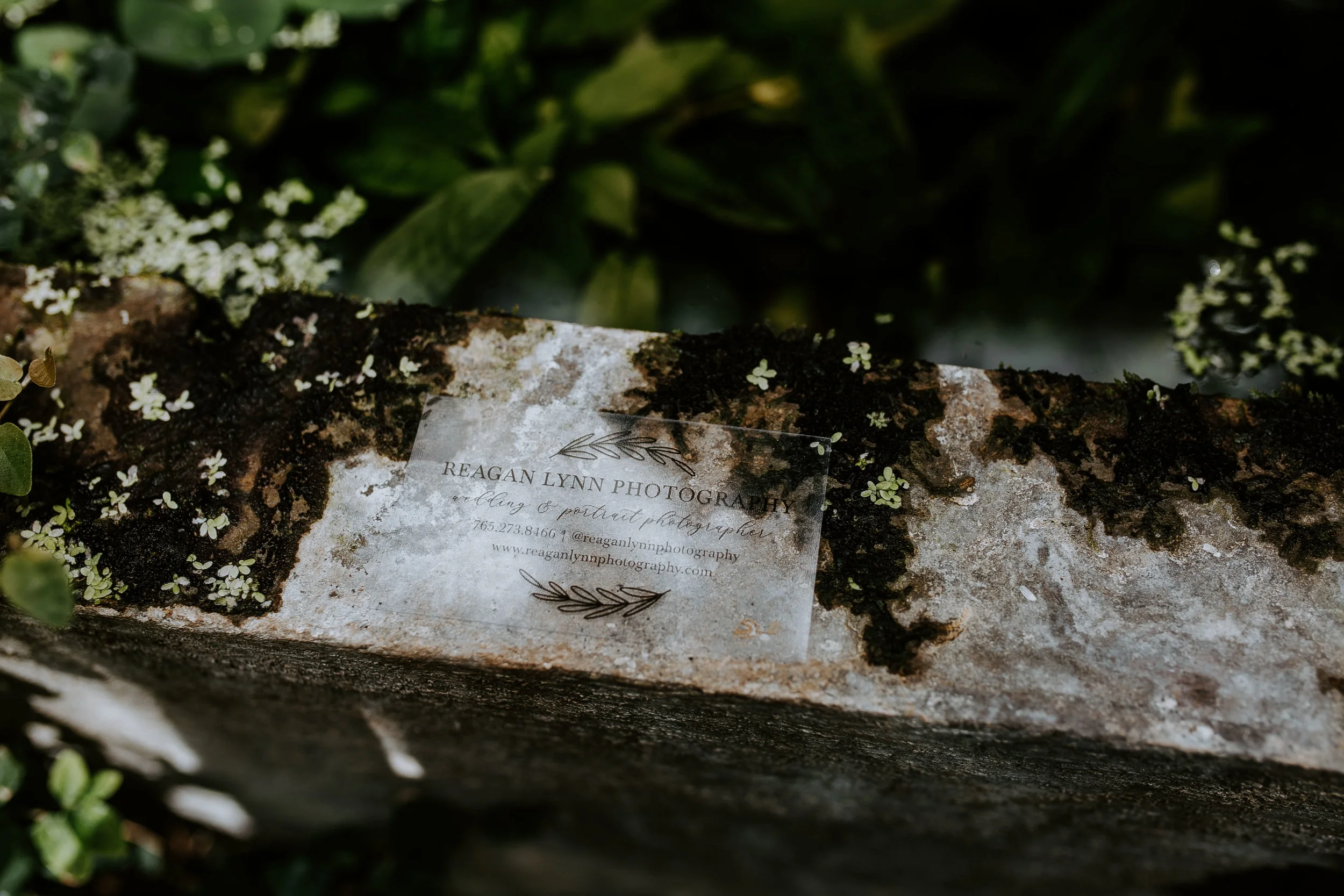 BASICINVITE-REAGANLYNNPHOTOGRAPHY-MUNCIE-BLOOMINGTON-INDIANA-5.jpg
