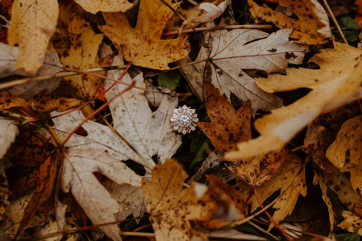 CATAURIELLA-MUNCIEENGAGEMENTPHOTOGRAPHER-INDIANAPOLISENGAGEMENTPHOTOGRAPHER-INDIANAPOLISWEDDINGPHOTOGRAPHER-REAGANLYNNPHOTOGRAPHY-YORKTOWNENGAGEMENT-INDIANAPHOTOGRAPHER-5.jpg