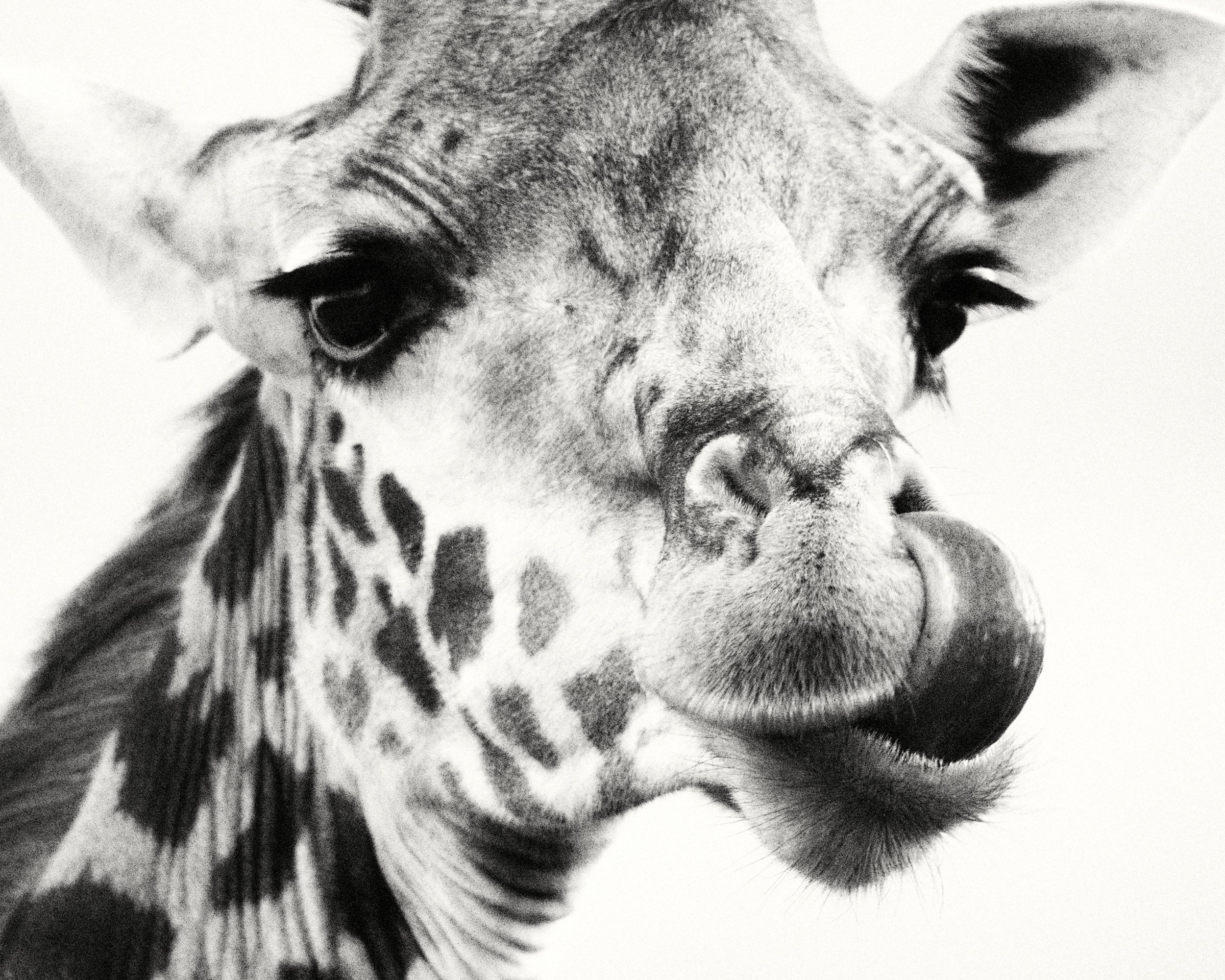 _DSC2745-Exposure (1).jpg