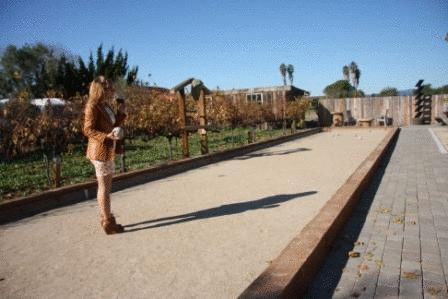 Bocce Ball at Ceja Vineyards Winery