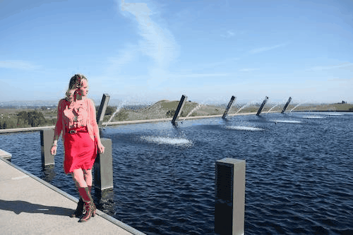 fountain-shot-an-afternoon-at-artesa.gif