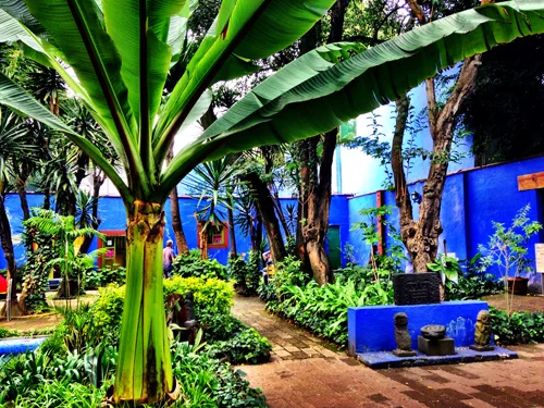 La Casa Azul de Frida Kahlo — Dalia Ceja