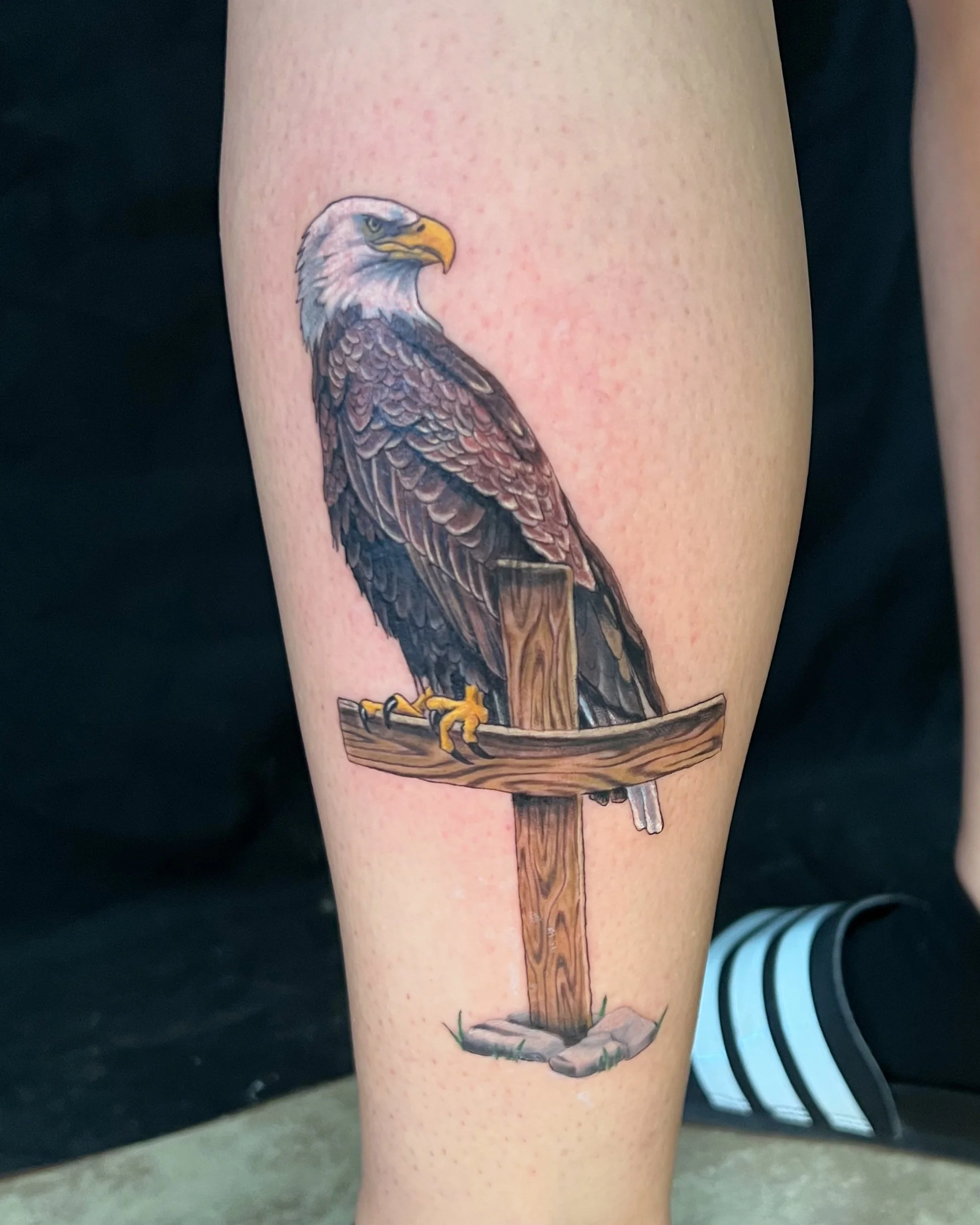 IMG_1709.jpeg