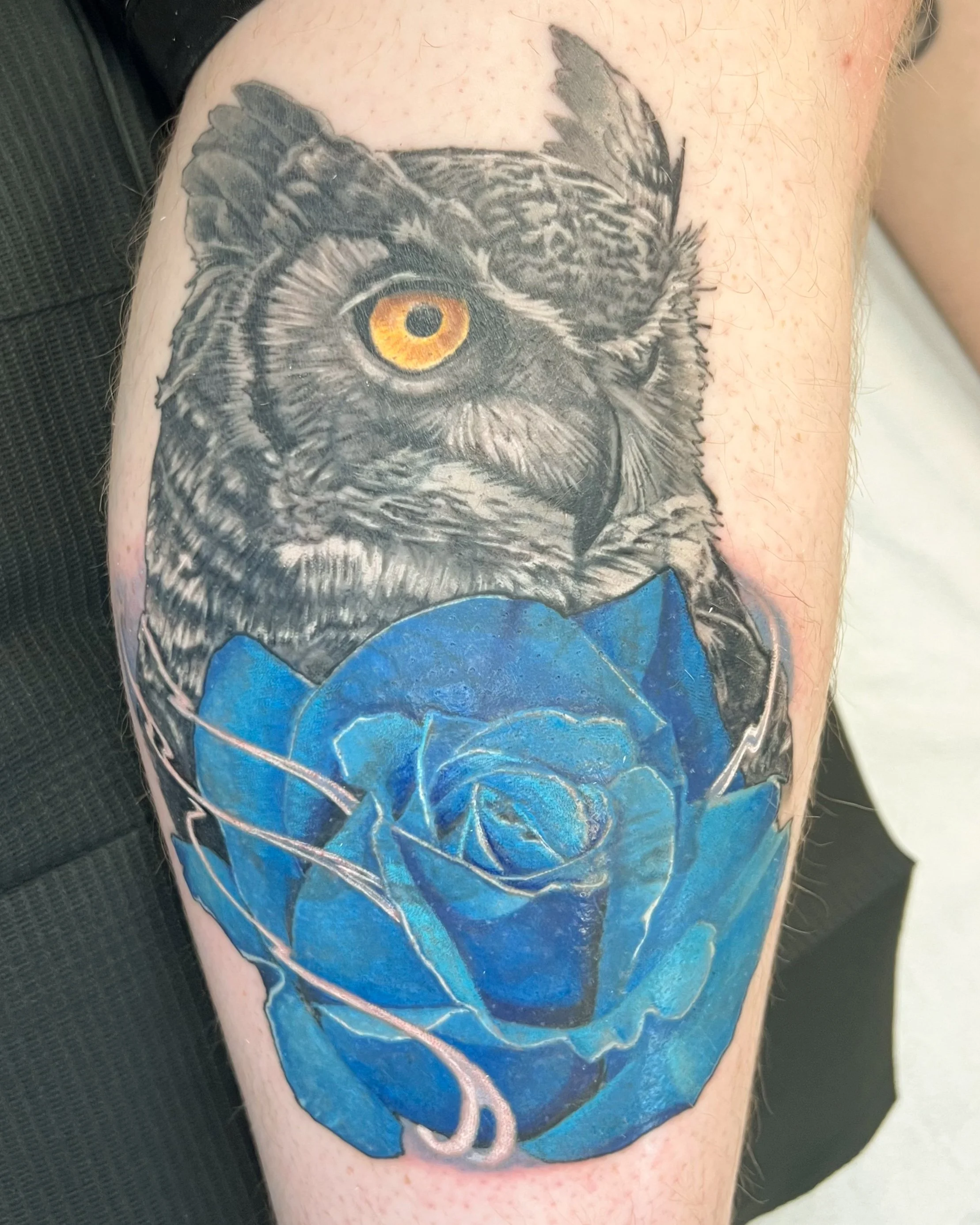 Black and gray great horned owl tattoo coverup with gold eyes and a blue rose. art work by Sam Trudell.