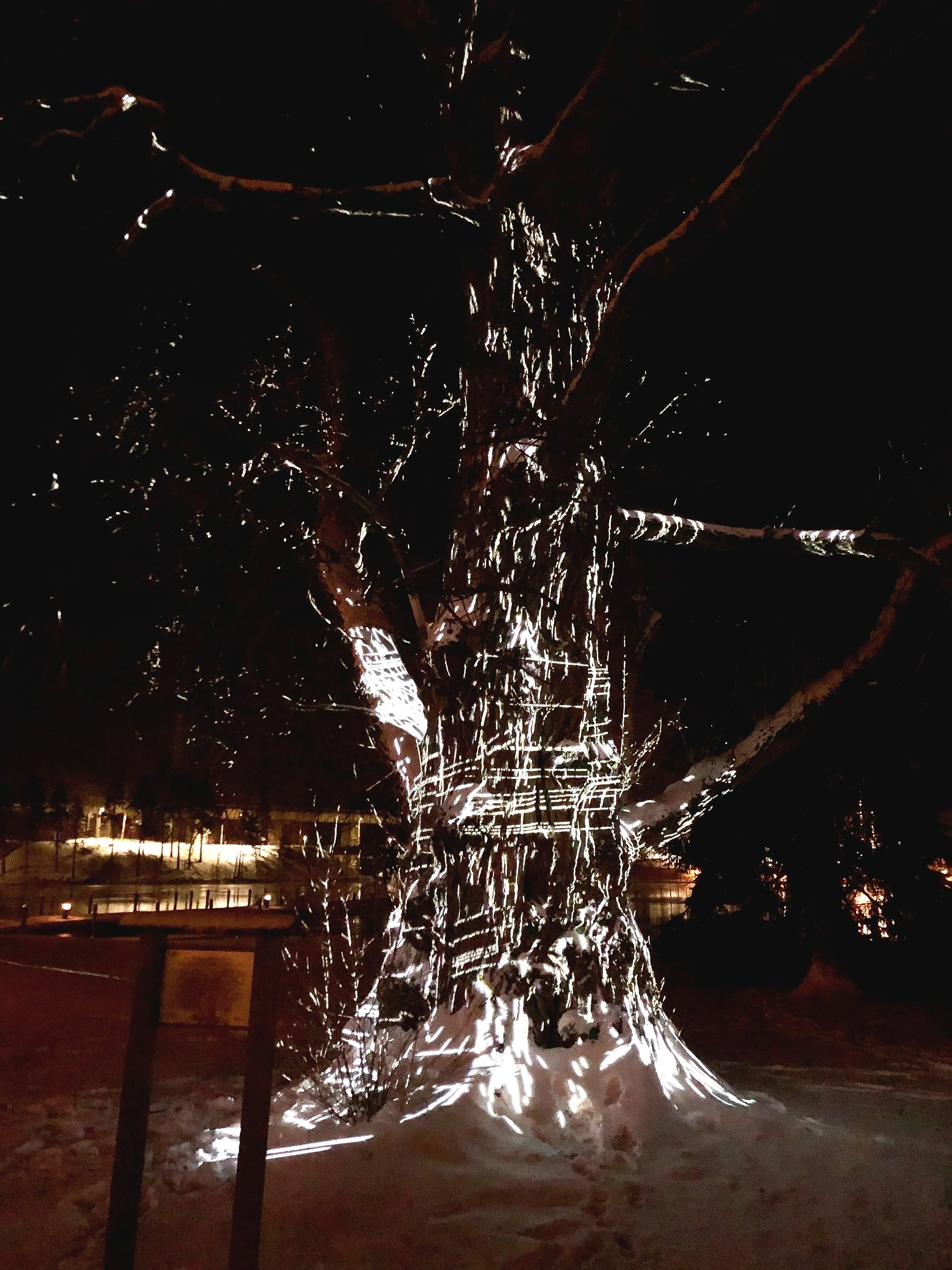 ATLAS TREE @Talven ja valon juhla, Heinola 