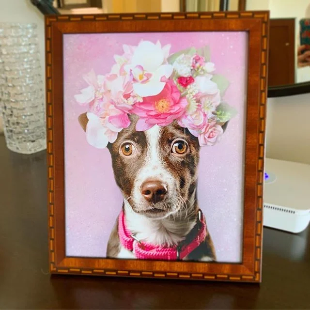Replaced Sophie Gamand&rsquo;s flower power pit with the new rescue pup in my nieces&rsquo; lives (it was a home run👍). Also made some enamel coated earrings using some old school methods. A very fun &amp; quick project - original design by @sophieg