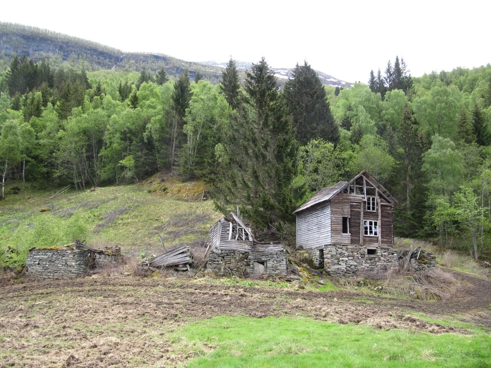 IMG_3813 (gaoturane.blogspot.com).jpeg