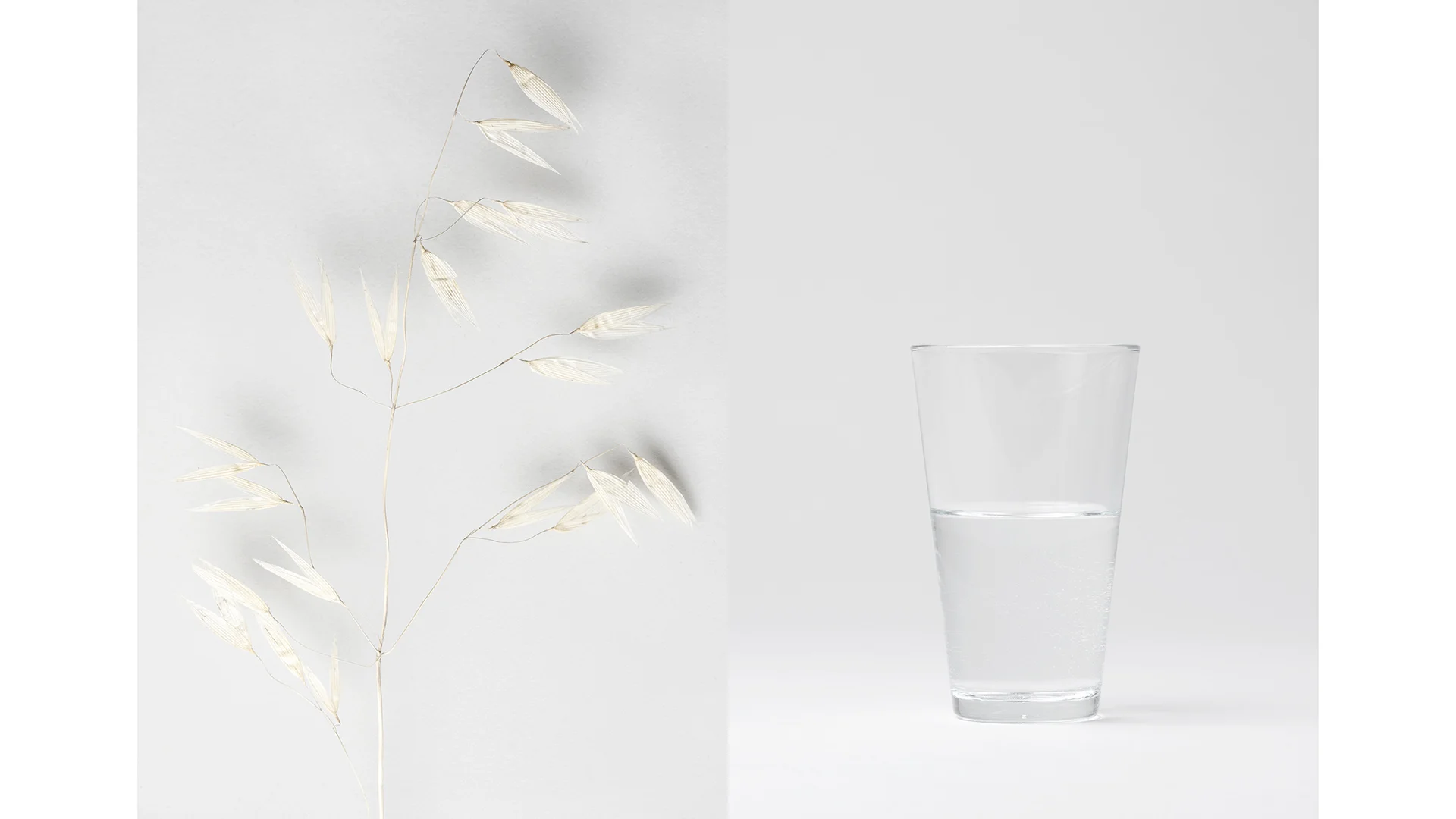 lauperzemp_aere_glass.jpg